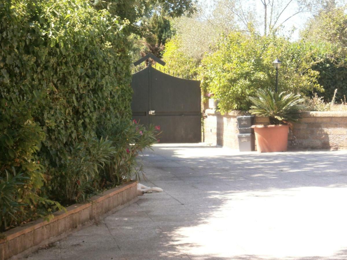 Villa Rosalba Camere Barbarano Romano Екстер'єр фото